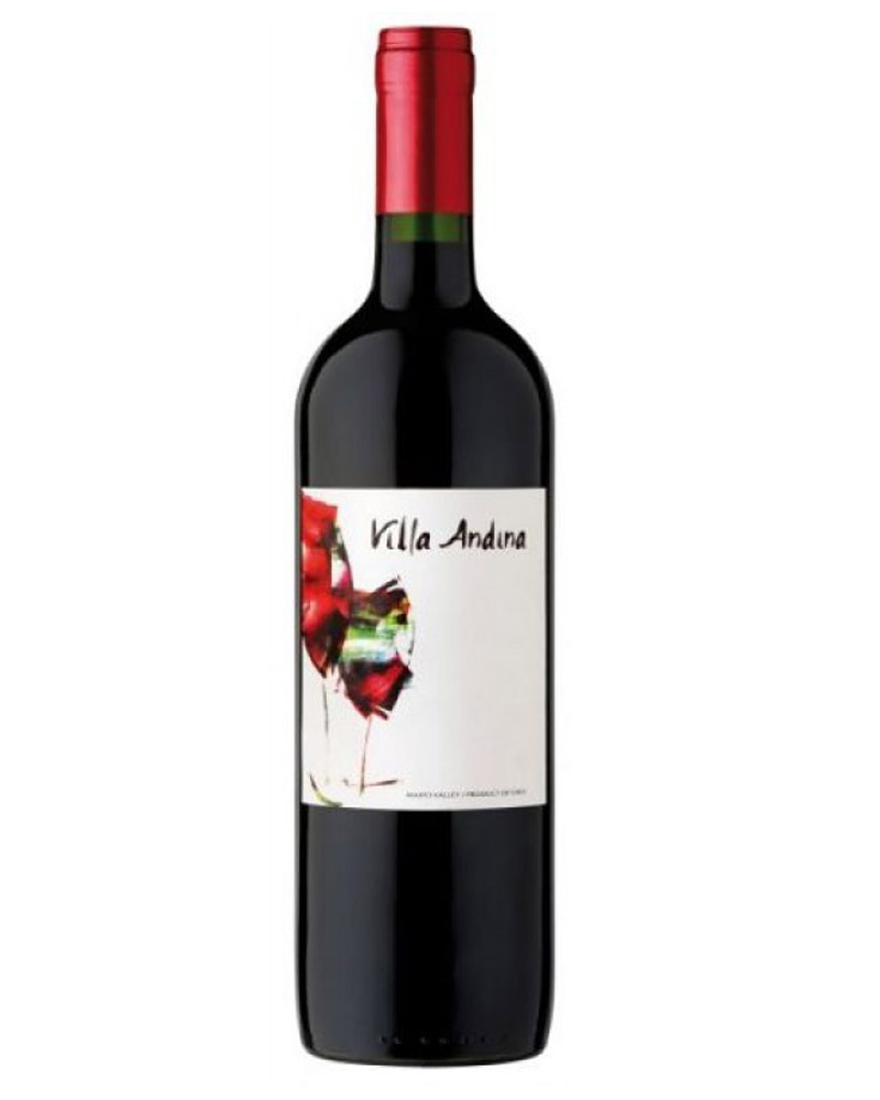 Вино Villa Andina Cabernet Sauvignon Syrah 14% (0,75L) изображение 1