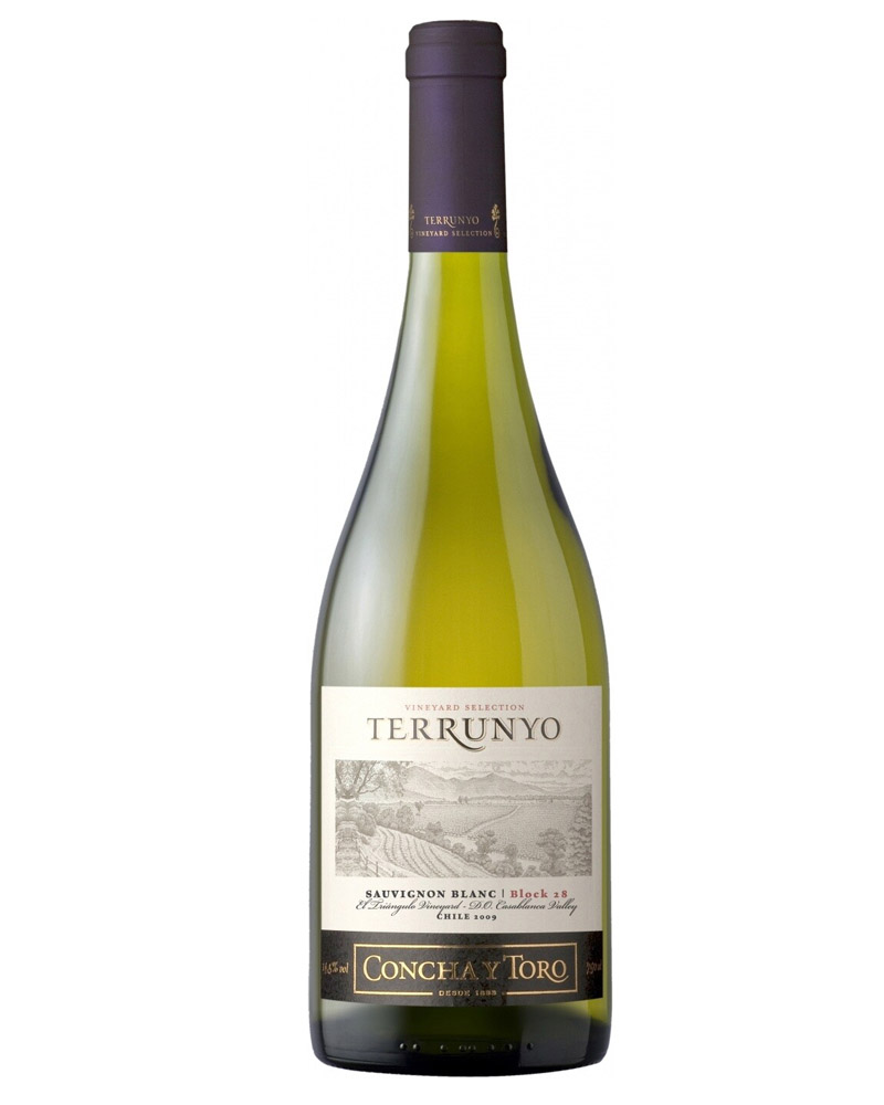 Вино Terrunyo Sauvignon Blanc, Concha y Toro 13,5% (0,75L) изображение 1