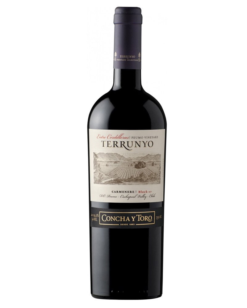 Вино Terrunyo Carmenere, Concha y Toro 14% (0,75L) изображение 1